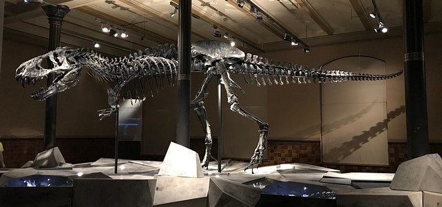 Bild Nachts im Museum_KITeratur_KAMUNA