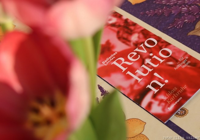 Bild Revolution_KITeratur_Elisa Walker